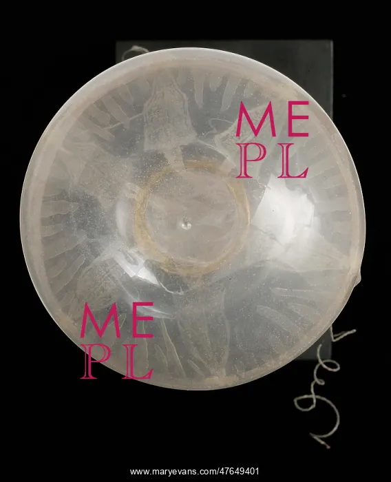 : Rhegmatodes thalassina, jellyfish model : Rhegmatodes thalassina, jellyfish model