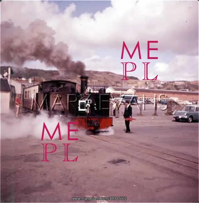 : RHEIDOL VALE RAILWAY : RHEIDOL VALE RAILWAY