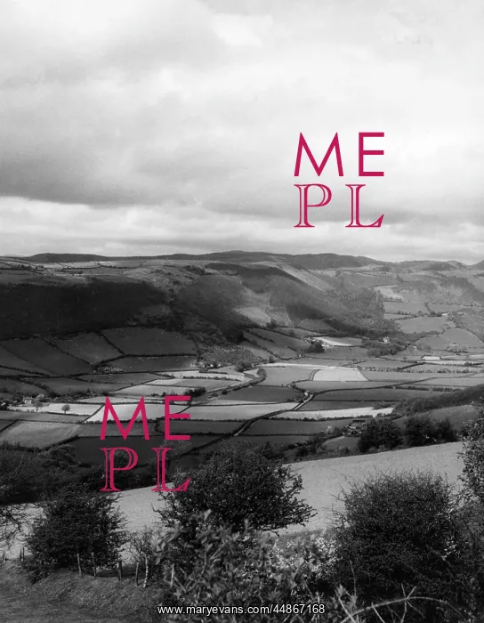 : RHEIDOL VALLEY : RHEIDOL VALLEY