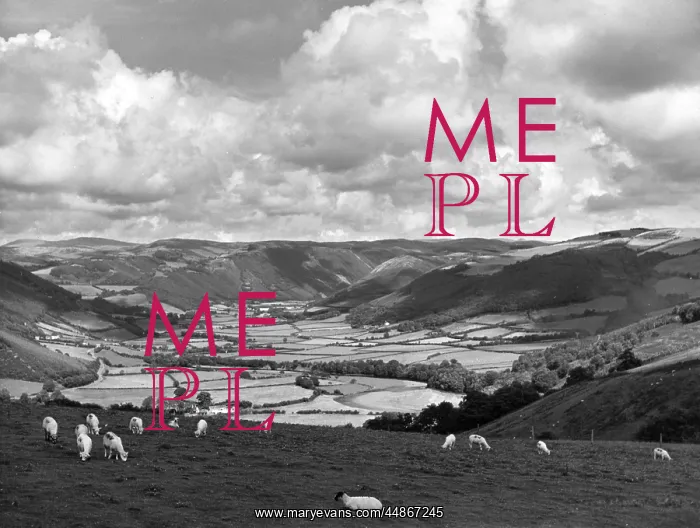 : RHEIDOL VALLEY : RHEIDOL VALLEY