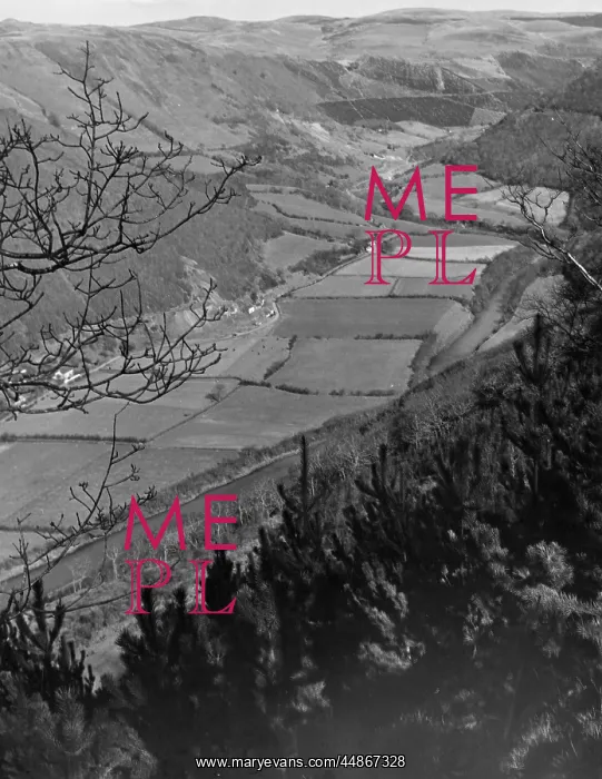 : RHEIDOL VALLEY : RHEIDOL VALLEY
