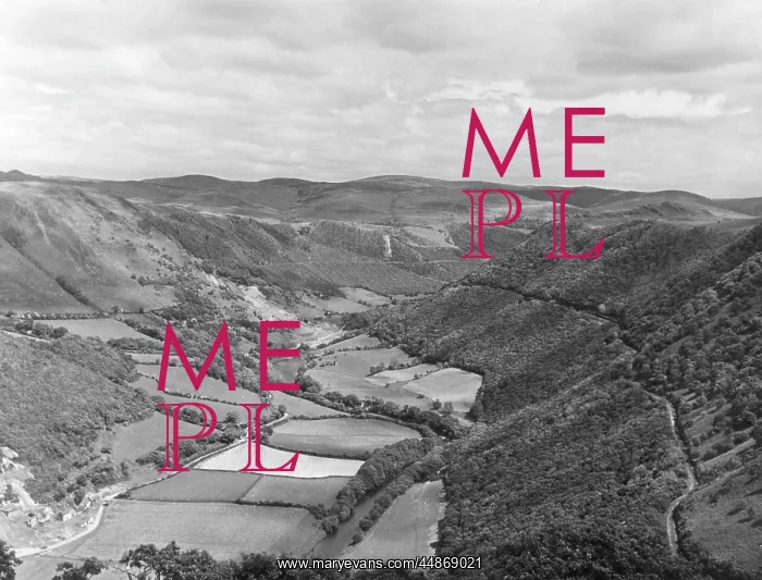 : RHEIDOL VALLEY : RHEIDOL VALLEY