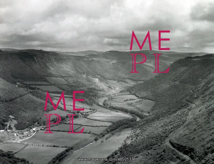 : Rheidol Valley, near Devil's Bridge, Wales : Rheidol Valley, near Devil's Bridge, Wales