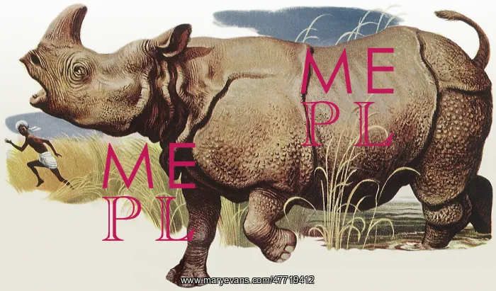 : Rhino Chasing Native : Rhino Chasing Native