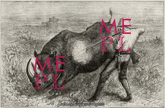  : RHINO HUNT IN AFRICA