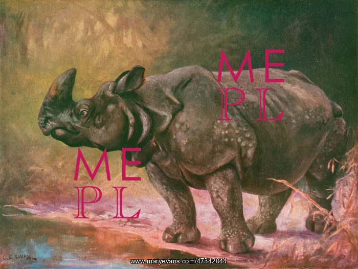 : RHINOCEROS 1909 : RHINOCEROS 1909
