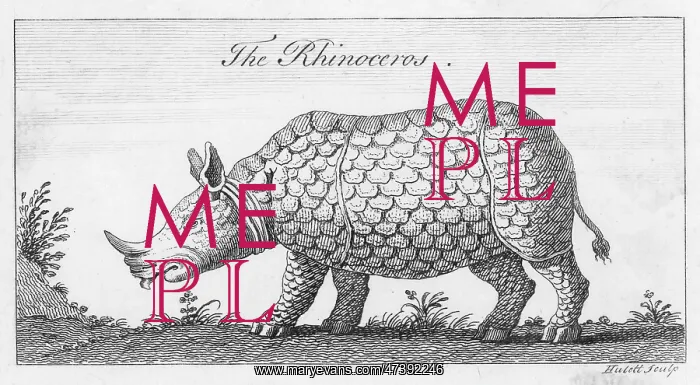 : RHINOCEROS C18 : RHINOCEROS C18