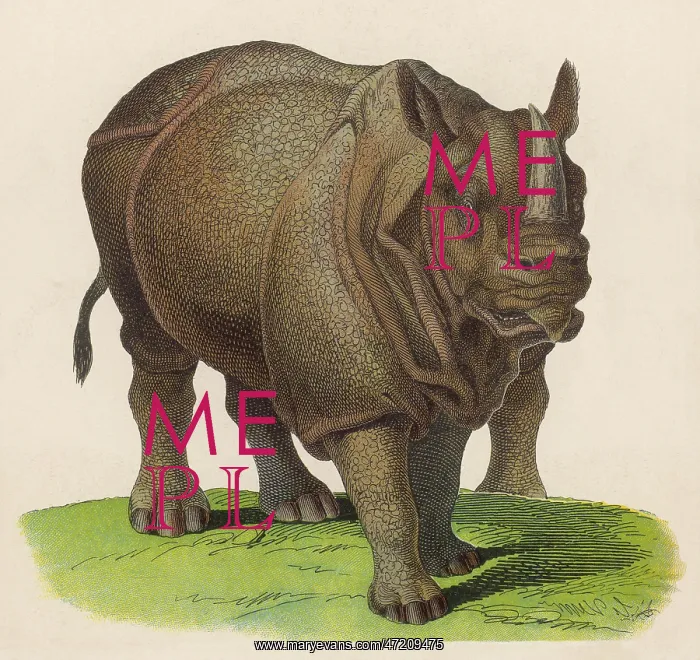 : RHINOCEROS C1870 : RHINOCEROS C1870