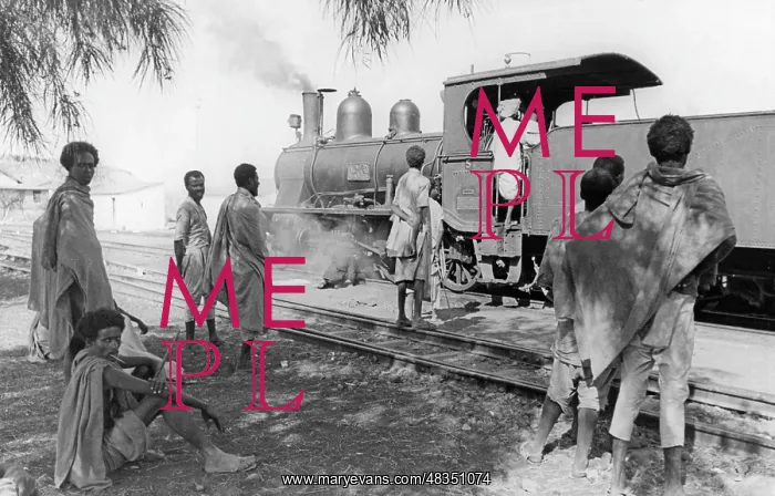 : Rhinoceros Express in Abyssinia, 1933 : Rhinoceros Express in Abyssinia, 1933