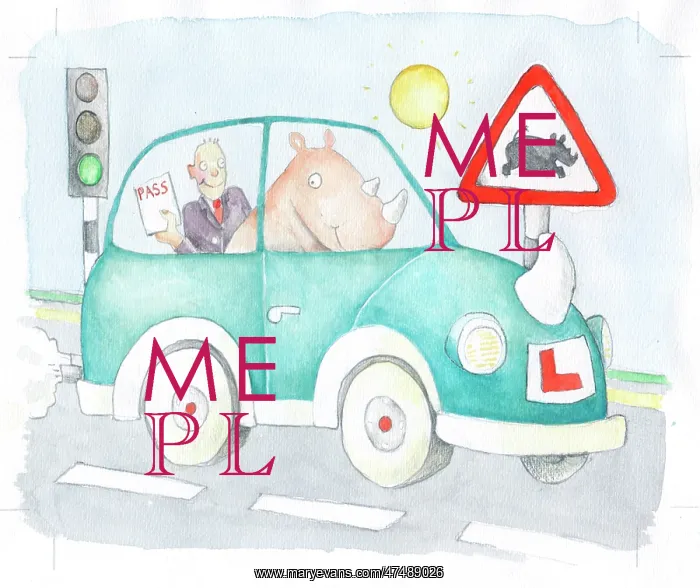 : Rhinoceros passing his driving test : Rhinoceros passing his driving test