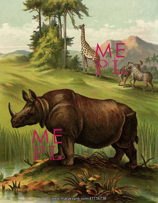  : Rhinoceros by Riverbank