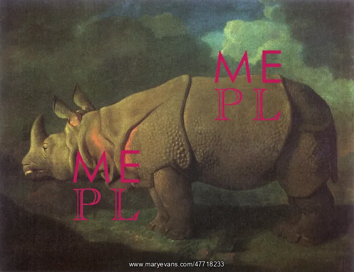  : Rhinoceros, by Stubbs