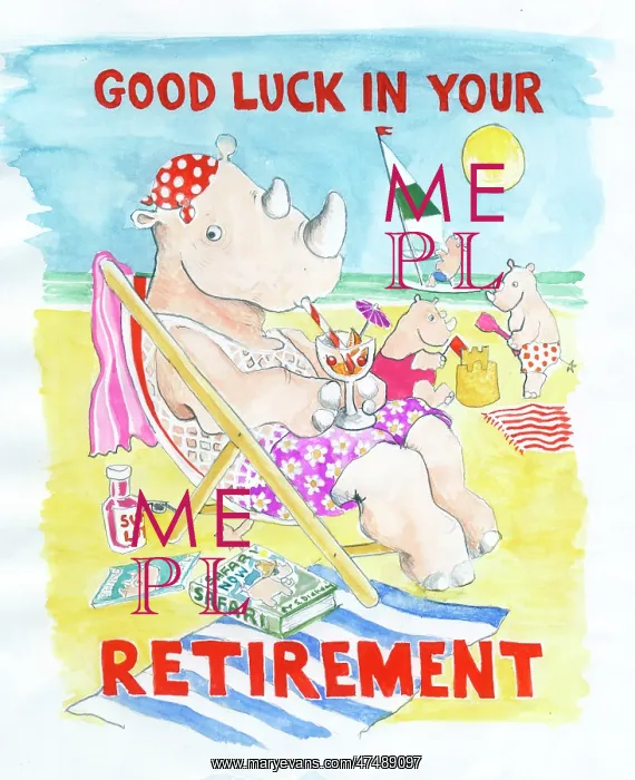  : Rhinos on the beach - retirement design