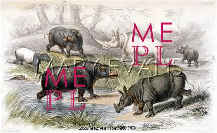 : RHINOS & HIPPOS C1840 : RHINOS & HIPPOS C1840