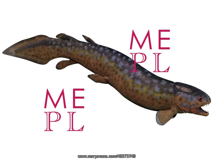 : Rhizodus, an extinct predatory lobe-finned fish : Rhizodus, an extinct predatory lobe-finned fish