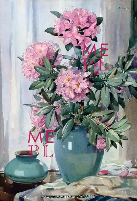  : Rhododendrons ? in blue-green vase