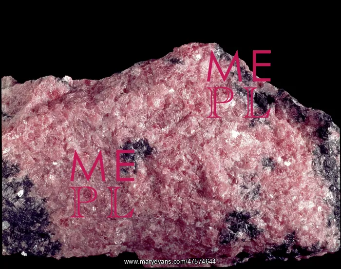 : Rhodonite. A pink specimen of rhodonite (manganese iron magnesium calcium silicate) : Rhodonite. A pink specimen of rhodonite (manganese iron magnesium calcium silicate)