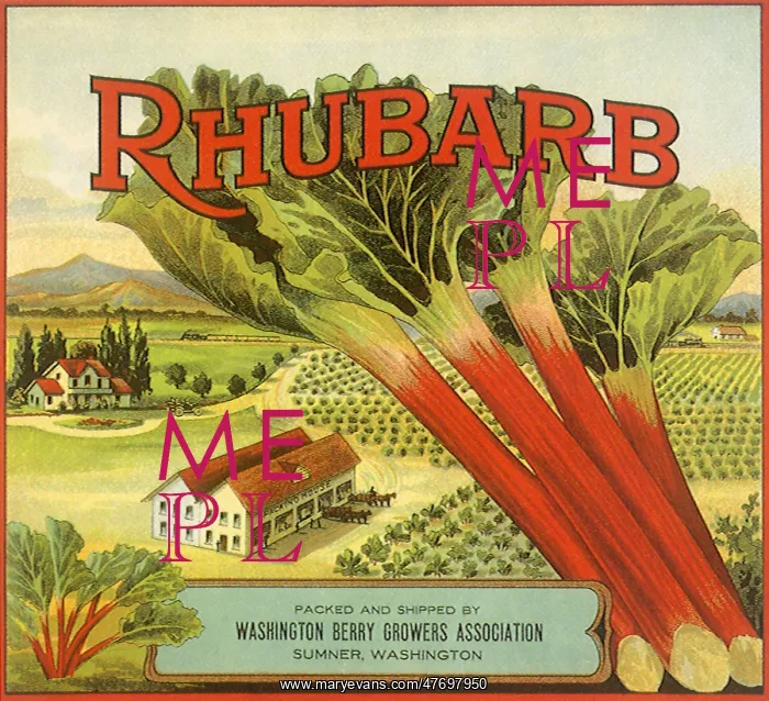 : Rhubarb Fruit Label