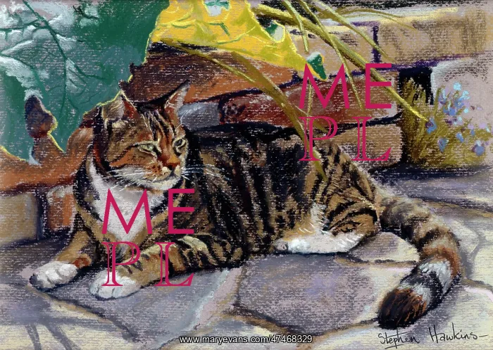 : Rhubarb Parasol ? tabby cat : Rhubarb Parasol ? tabby cat