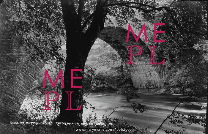 : Rhydlianfair Bridge : Rhydlianfair Bridge