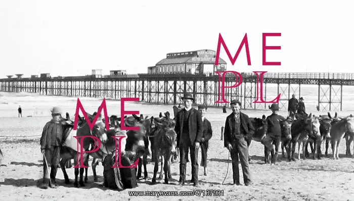  : Rhyl donkeys on the beach and pier