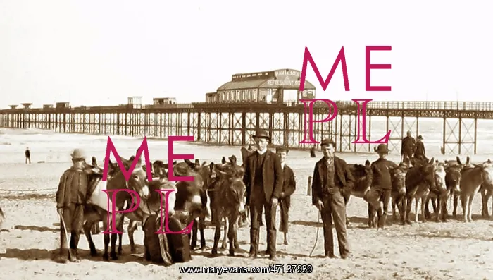  : Rhyl donkeys on the beach and pier