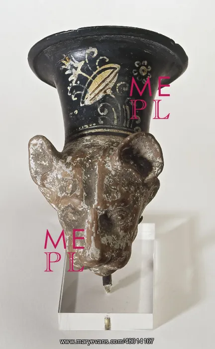 : Rhyton with a panther head : Rhyton with a panther head