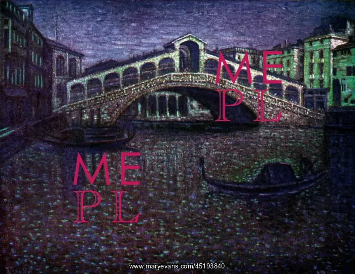 : The Rialto Bridge : The Rialto Bridge