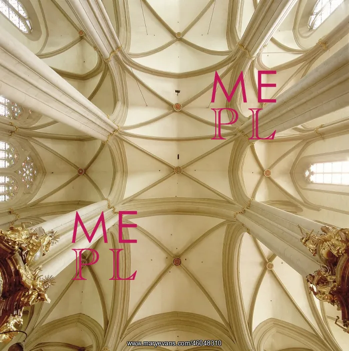 : Ribbed vault : Ribbed vault