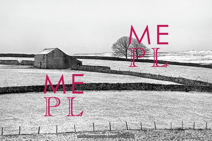 : Ribble Valley, winter - 02 : Ribble Valley, winter - 02