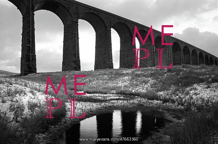 : Ribblehead Viaduct - 02 : Ribblehead Viaduct - 02