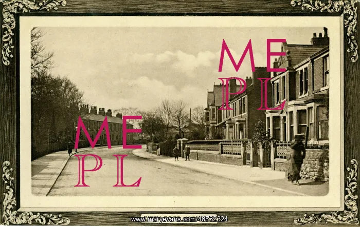 : Ribby Road, Kirkham, Lancashire : Ribby Road, Kirkham, Lancashire