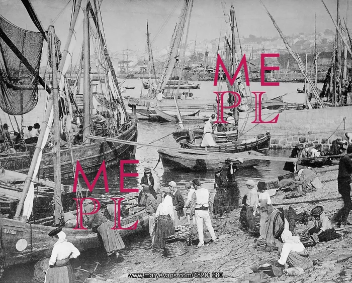 : Ribeira Nova in Lisbon, 1909 : Ribeira Nova in Lisbon, 1909