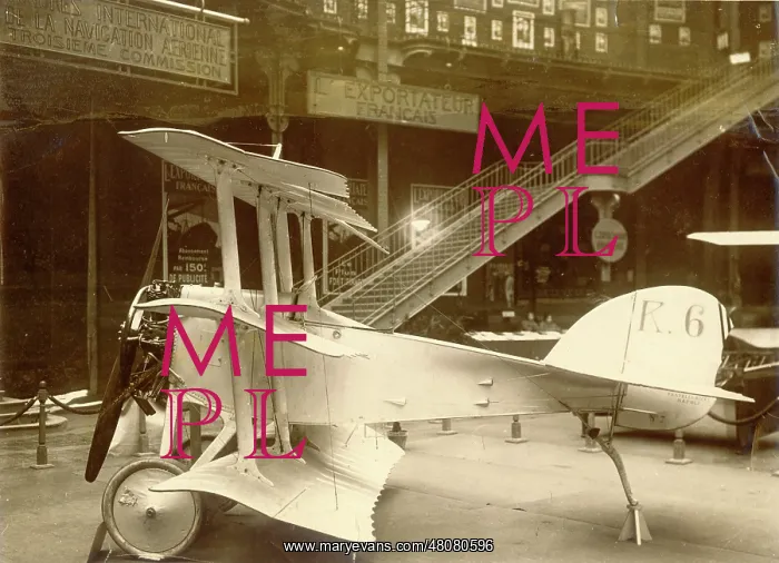 : Ricci R6 Triplane at an exhibition : Ricci R6 Triplane at an exhibition