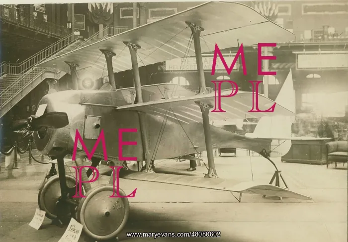 : Ricci R9 Triplane at an exhibition : Ricci R9 Triplane at an exhibition