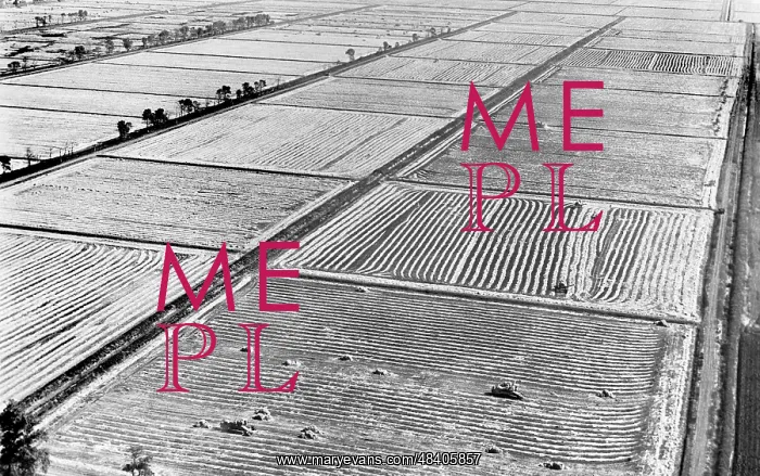 : Rice fields in Kuban, 1975 : Rice fields in Kuban, 1975