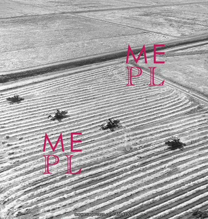 : Rice fields in Kuban, 1975 : Rice fields in Kuban, 1975