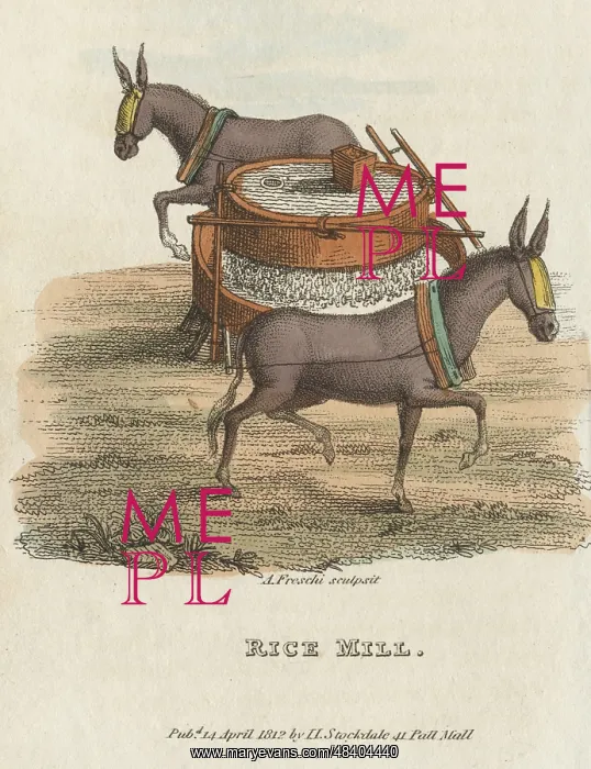 : Rice Mill, 1813. Blindfolded mules harnessed : Rice Mill, 1813. Blindfolded mules harnessed