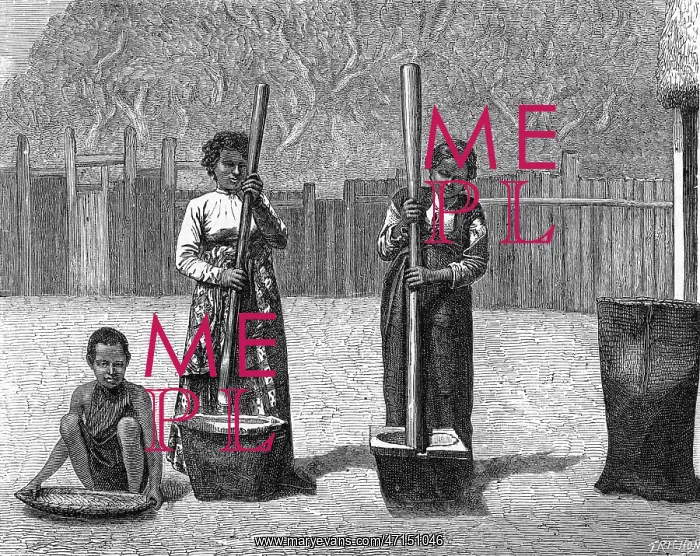  : Rice-pounding, Madagascar