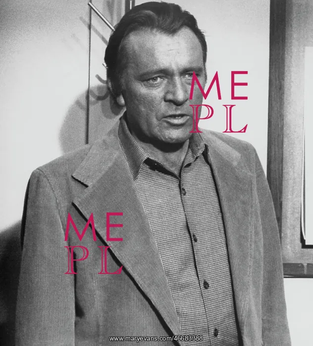 : Richard Burton - Actor : Richard Burton - Actor