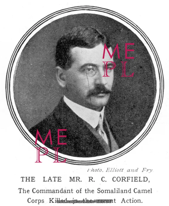 : Richard Corfield : Richard Corfield