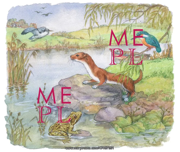 : Richard Rabbit Goes Boating by Truda Mordue : Richard Rabbit Goes Boating by Truda Mordue