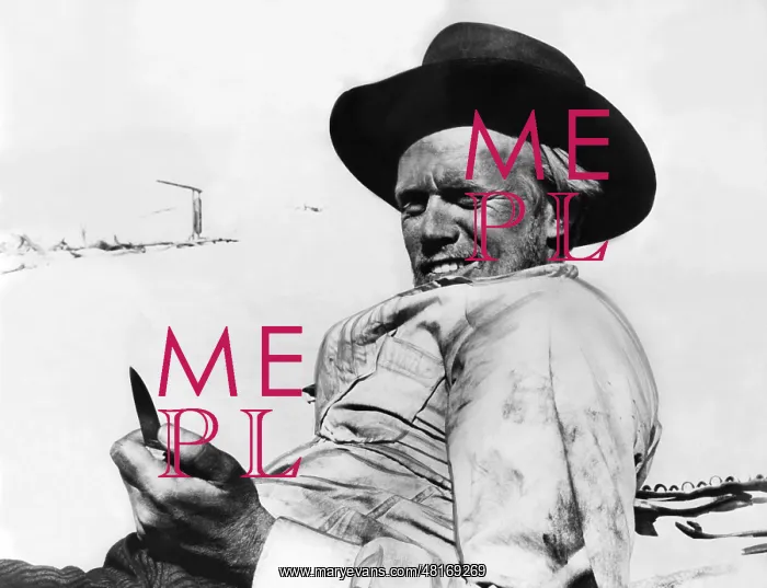 : Richard Widmark : Richard Widmark