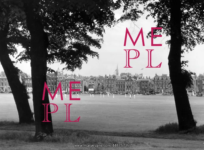 : RICHMOND GREEN CRICKET : RICHMOND GREEN CRICKET