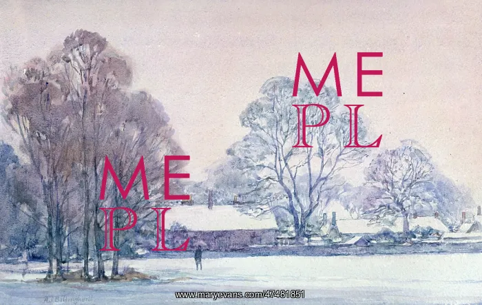 : Richmond Park under Snow : Richmond Park under Snow