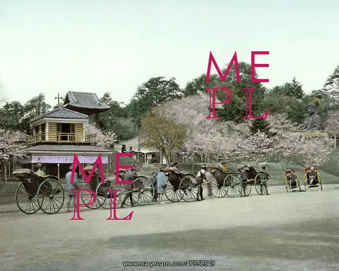 : Rickshaws, Ueno, Tokyo, Japan : Rickshaws, Ueno, Tokyo, Japan