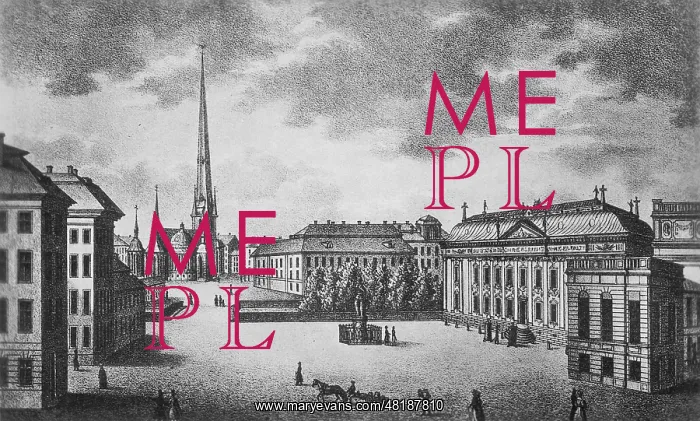 : The Riddarhustorget in Stockholm, 1836 : The Riddarhustorget in Stockholm, 1836