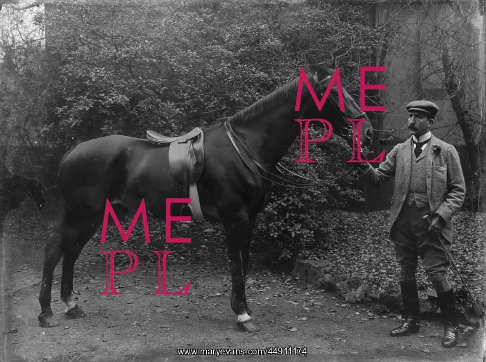 : Rider holding horse : Rider holding horse