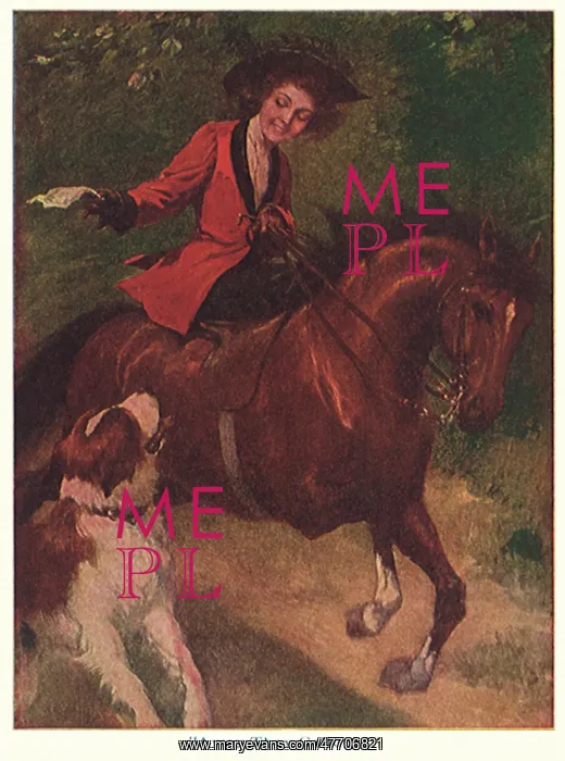  : Rider and St.Bernard