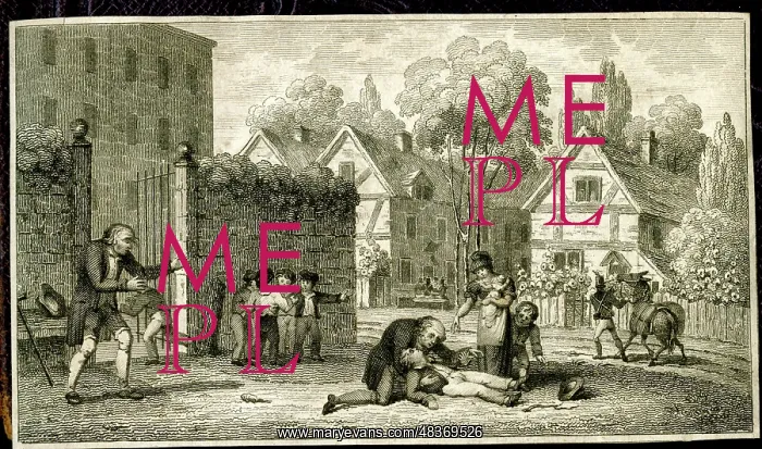  : Rider thrown from his horse